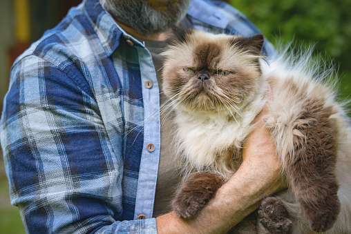 mature adult man in the garden with a cat