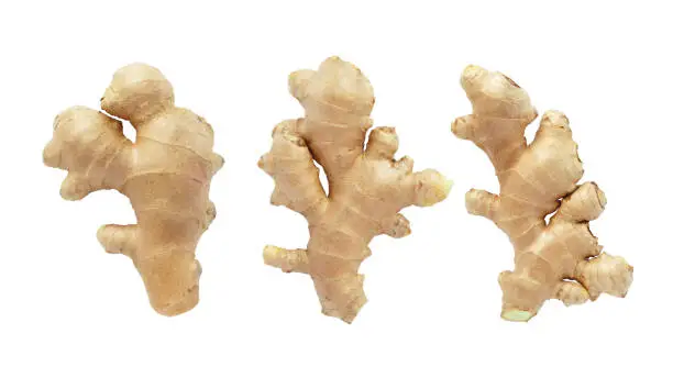 Ginger root collection isolated on white background.