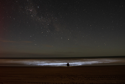 Photograph of a man by the sea in Buenos Aires, Argentina looking at the Orion's Belt.
