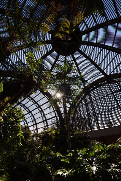istock Botanical Building - Balboa Park, San Diego 1413805220
