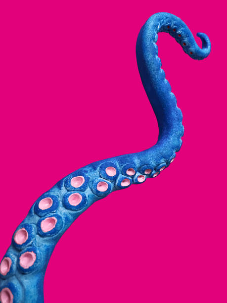 tentacolo blu - tentacle foto e immagini stock