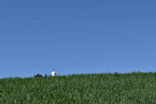 Un ciel bleu An oat field under a blue sky, Sainte-Apolline, Quebec, Canada ciel bleu stock pictures, royalty-free photos & images