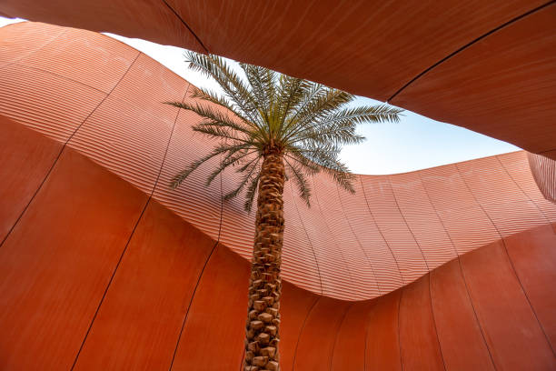 istock Palm tree in concrete structure in Masdar city, Abu Dhabi, UAE 1413814230