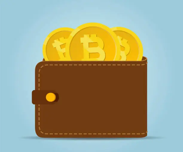 Vector illustration of Wallet full of money, bitcoin.