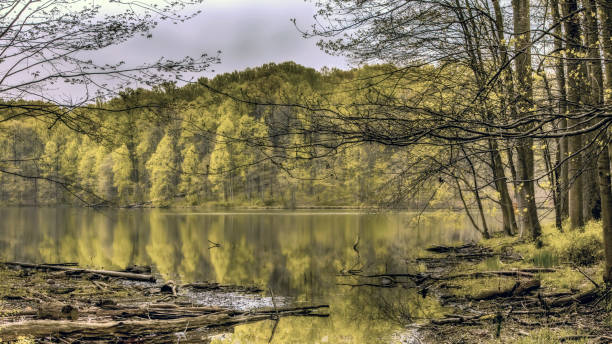 istock Clopper lake Maryland early fall. 1413824567