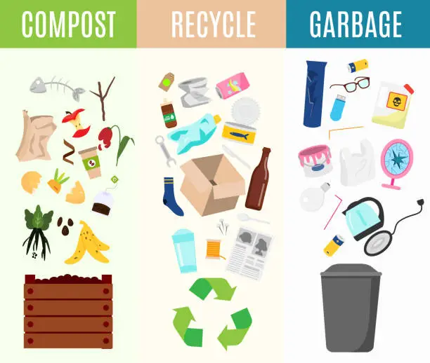 Vector illustration of Recyclable, compost and garbage infographic illustration. Types of waste sorting