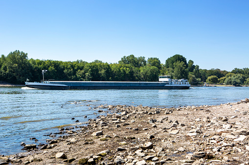 Riverbanks and riverbed of Rhine river in Wiesbaden. Extraordinary low water level after a long period of drought in 2022. In the background an industrial ship.