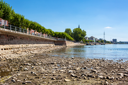 Rhine river - extraordinary low water level