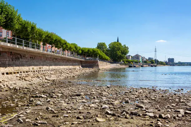 Riverbanks and riverbed of Rhine river in Wiesbaden-Biebrich. Extraordinary low water level after a long period of drought in 2022.