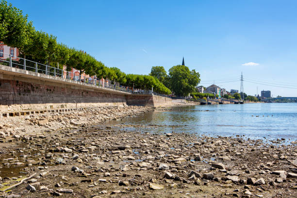 rhine river - extraordinary low water level - leito de rio imagens e fotografias de stock