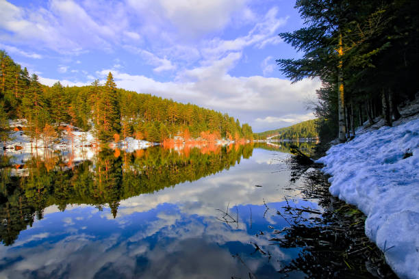 Bozcaarmut lake in Bilecik Turkey