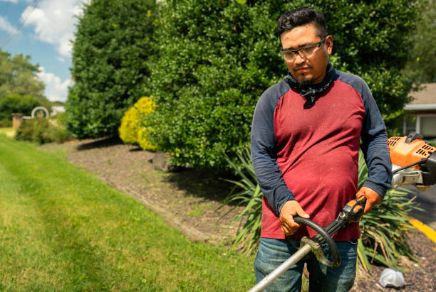 istock Man trimming lawn on a sunny day 1413826320