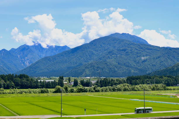 Niigata Pref