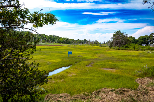 Viewed from Wings Neck Road in Pocasset, MA on Cape Cod looking towards Buzzards Bay in the background.  This is a very popular summer spot for tourists.