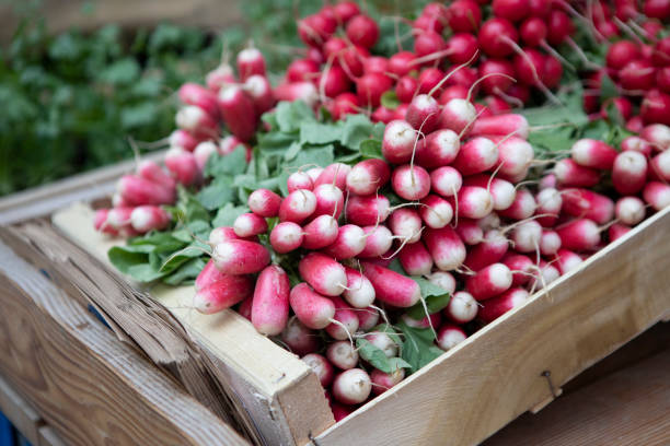 des bouquets de radis dans un plateau en bois devant une épicerie - radish bunch red vegetable photos et images de collection