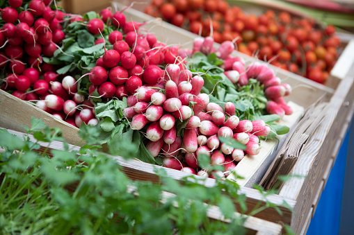 Radishes, bunches of parsley and cherry tomatoes for sale outside a shop in Paris