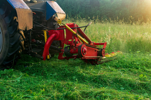 istock tractor with a mounted mower mows meadow forbs 1413834205