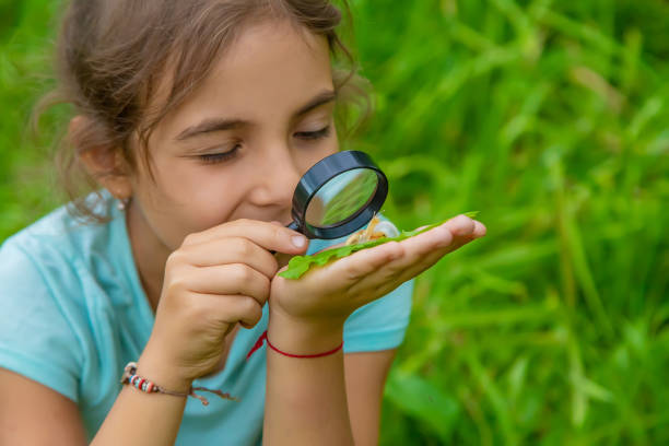 istock Girl Looking At Snail On Leaf Through Magnifying Glass 1413838991