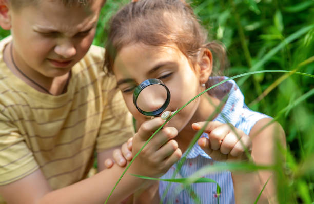 istock Brother And Sister Looking At Snail Through Magnifying Glass 1413839041