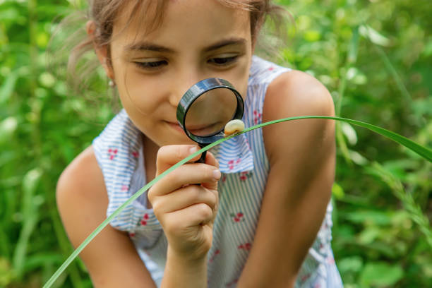 istock Smiling Girl Looking At Snail On Grass Through Magnifying Glass 1413839098