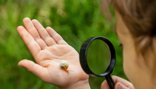 istock Girl Looking At Snail Through Magnifying Glass 1413839102