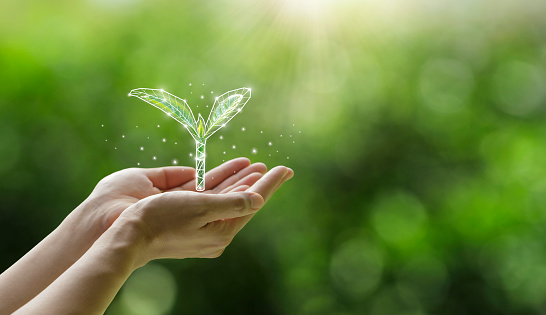 Concept eco earth day.Earth Day environmental protection. hands holding a young plant that is planted as a graphic on green nature background. Forest conservation concept.Eco-friendly environment.