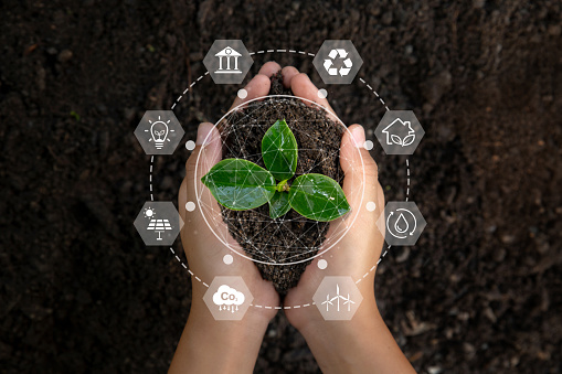 hand holding a young plant with environment Icons over the Network connection on a green background. concept eco earth day, Environmental technology concept. Sustainable development goals. SDGs.
