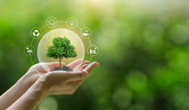 istock Hand holding a green tree with icons of energy sources for renewable, sustainable development. ecology and world sustainable environment concept. Saving the environment, saving the clean planet. 1413842152