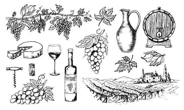 ilustrações de stock, clip art, desenhos animados e ícones de glass wine bottle and vine bunches. tuscany landscape with vineyard. hand drawn sketch for label or bar menu. vintage drawing of grape and oak wooden barrel. vector illustration in engrave style - vineyard