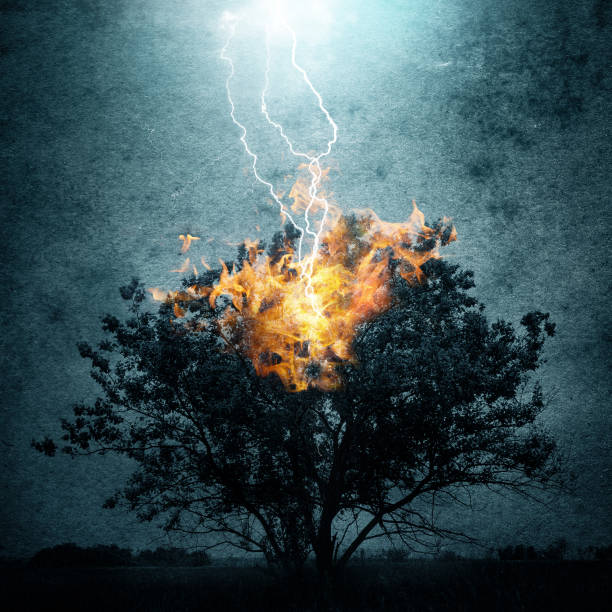 A lonely tree on fire after a lightning strike. The effect of overlay on the ancient texture of paper. Concept on theme of elements, forest fires, lightning, natural phenomena, religion, etc.