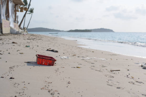 istock Dirty tropical beach full of plastic garbage 1413846567