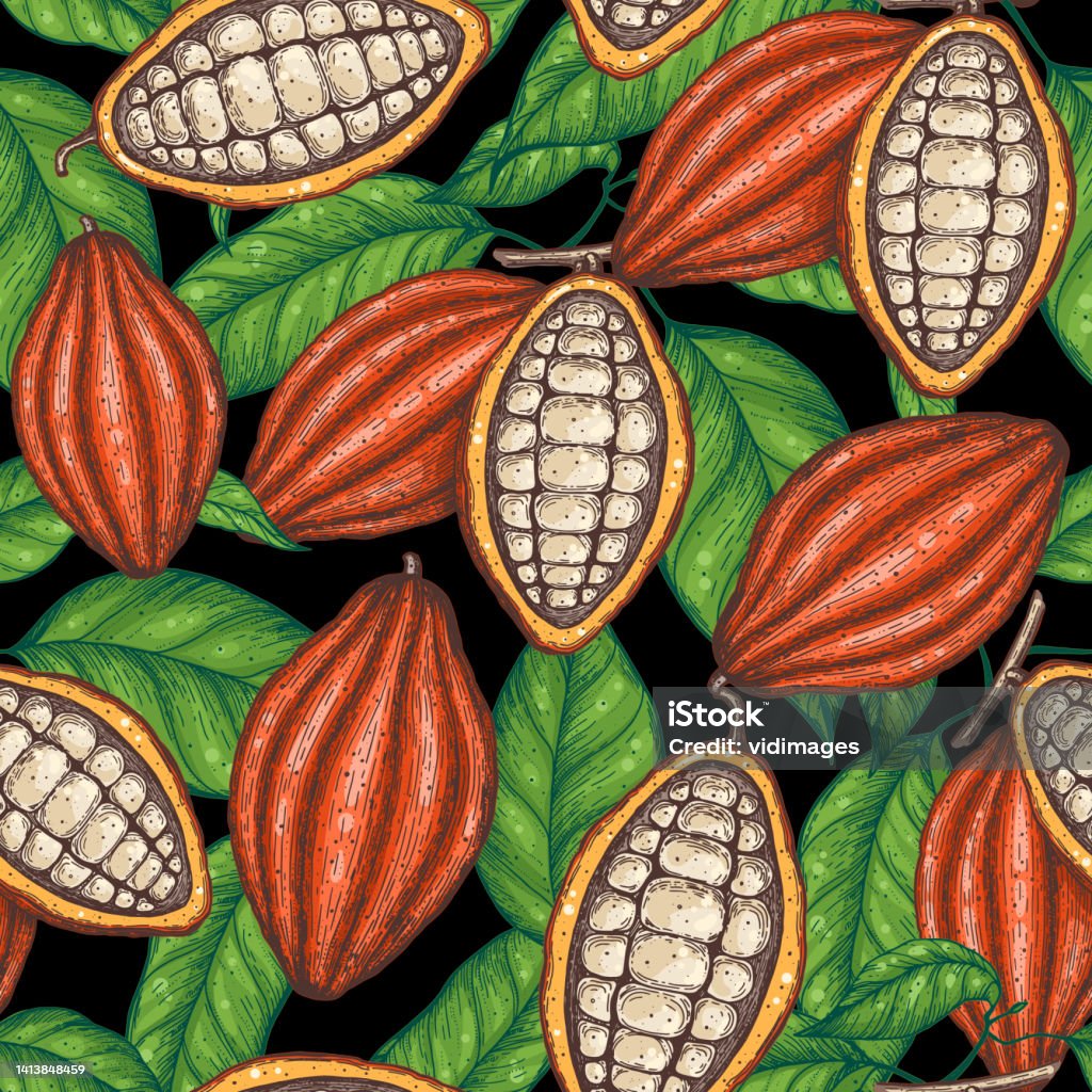 Cocoa Seamless Pattern Cocoa Beans Vector Illustration Chocolate Beans Cocoa Seamless Pattern Cocoa Beans Vector Illustration Chocolate Beans