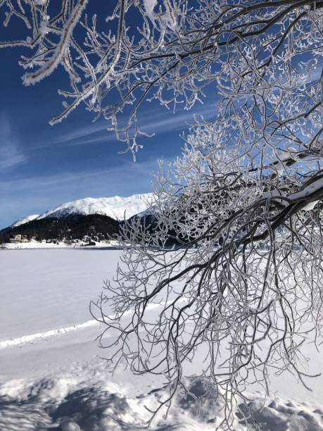 winter in der schweiz - engadine switzerland europe clear sky stock-fotos und bilder