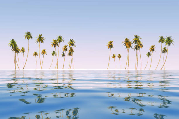 istock coconut island at tropic sea 1413850158