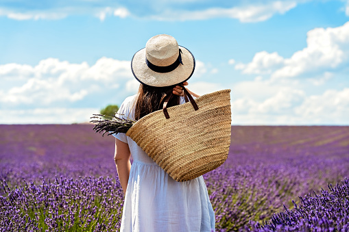 Back view of woman in linen dress and straw hat standing in purple blooming lavender flowers field looking away holding straw bag. Summer holidays in Valensole, Provence, France