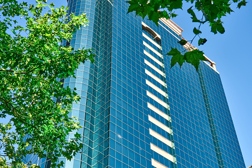 Modern office building appearance, green glass building exterior wall and plants on Huaihai Road, Shanghai, China