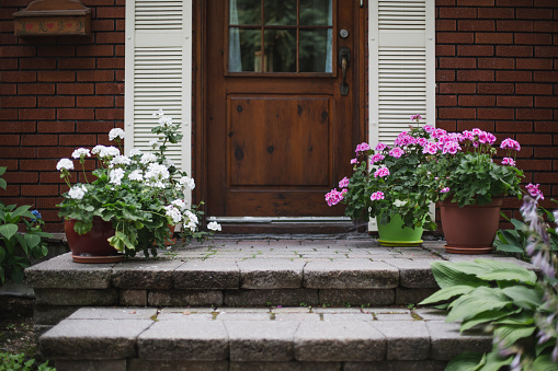 flower, potted plant, front stoop, home