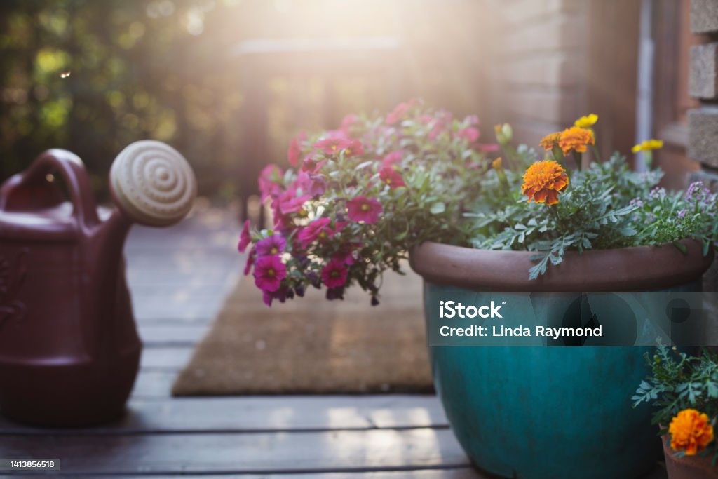 Potted flowers on a porche flower,  flower pot, watering can, residential building,  front stoop Porch Stock Photo