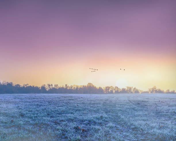 Late fall sunrise over frozen grassy field