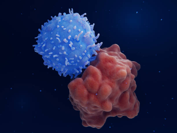 Chimeric antigen receptor (CAR) therapy: Engineered T-cell attacks a leukemia cell stock photo