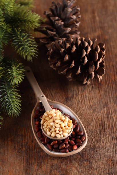 istock natural pine nuts, peeled and whole 1413860205