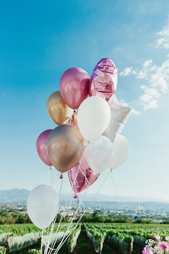 Colorful birthday balloons on a clear blue sky vertical image