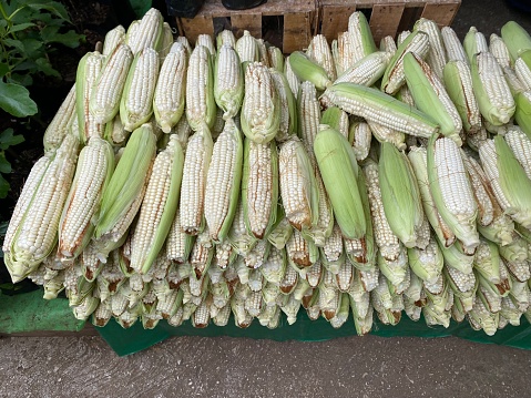 A market stall selling organic corn in San Cristóbal de las Casas, Chiapas, Mexico