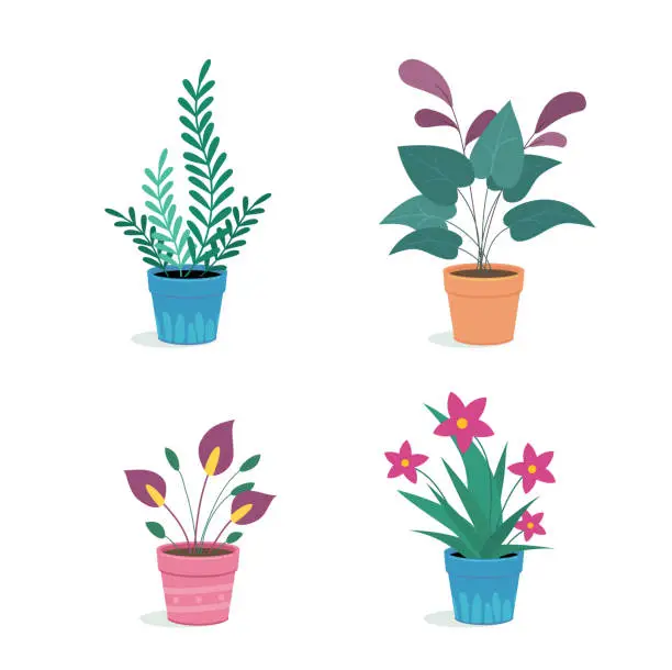 Vector illustration of Collection of home flower pots with flowers. House plants in pots.