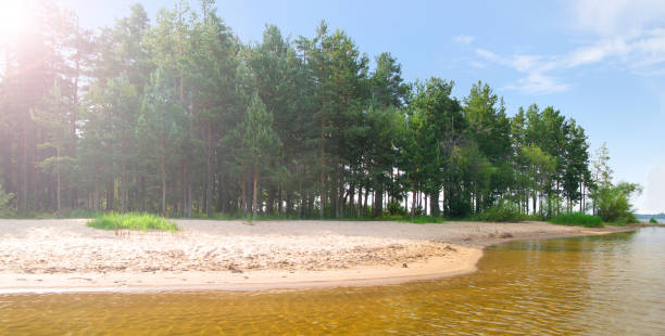 una piccola spiaggia di sabbia accogliente sull'isola di gorodomlya sul lago seliger. ostashkov, tver region, federazione russa - 2649 foto e immagini stock