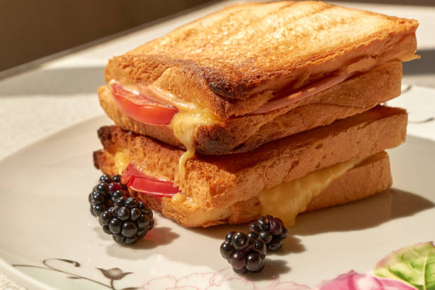 istock Hot sandwich with cheese on plate. 1413869567