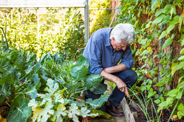 istock Farmers working on the land and checking crops 1413872328