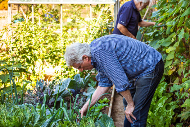 istock Farmers working on the land and checking crops 1413872353