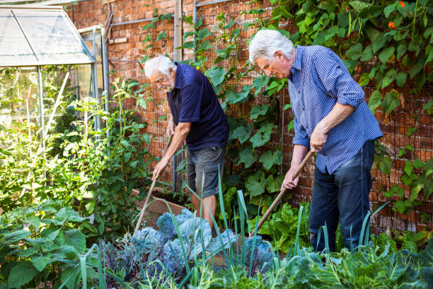 istock Farmers working on the land and checking crops 1413872399