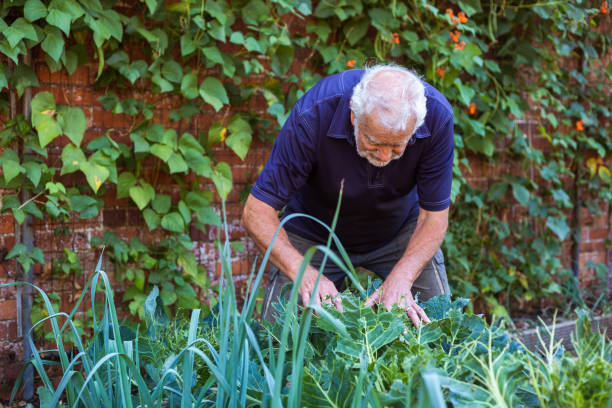 istock Farmers working on the land and checking crops 1413872523
